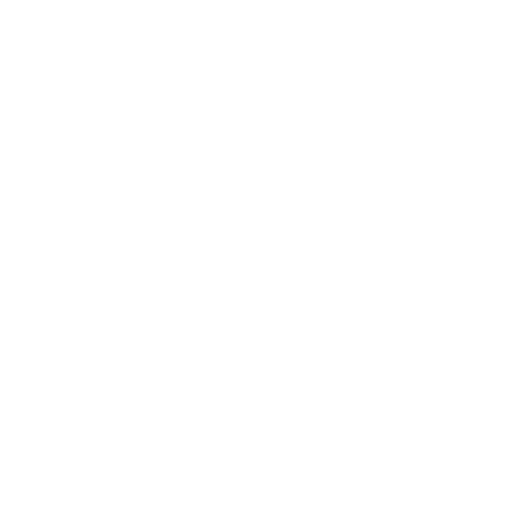 Rust Lang