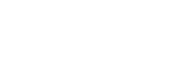 bmw-car-it logo